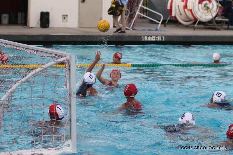 water-polo pic